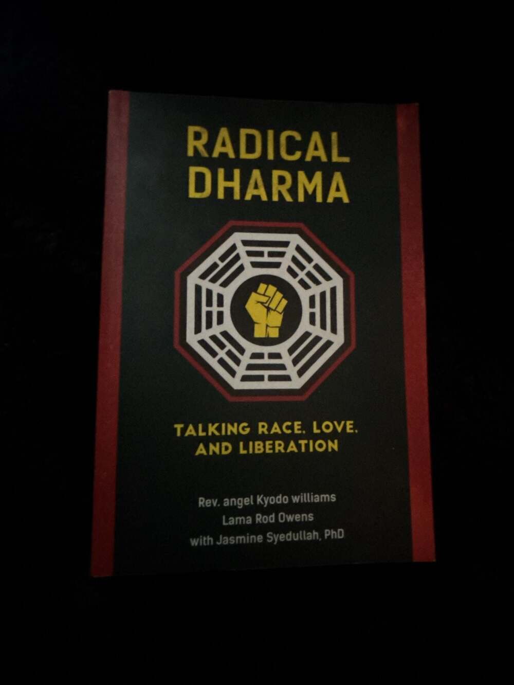 Radical Dharma: Talking Race, Love, and Liberation